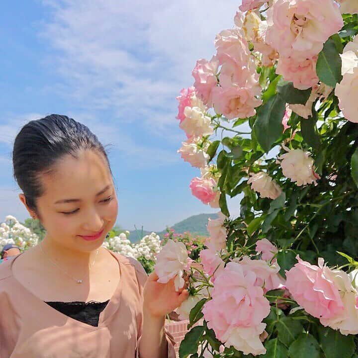 のインスタグラム：「バラバラバラ〜🌹✨ お天気良くて最高でした！  400種類の薔薇が植えられていて 少しずつ見頃が違うので12月頃まで楽しめるそう😳  _ #しまなみ海道#今治#大島#サイクリング#バラ園#よしうみバラ公園#公園#入園無料#ばら#旅の思い出#アナウンサー#フリーアナウンサー#女子アナ#旅行#写真#大慈弥レイ#flower#rose#rosegarden#photography#garden#picnic#trip#picture#camera#cycling#japantrip#genic_japan#park#instagood」