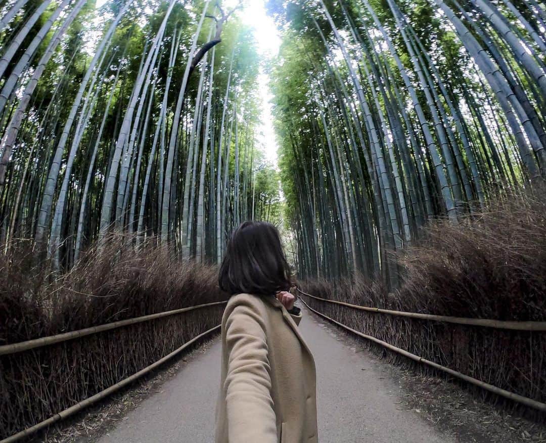 GoProさんのインスタグラム写真 - (GoProInstagram)「一度は行ってみたい #京都 の名所、竹林の小径。 #TripOn チャレンジ受賞作。 📷 #GoProファミリー @barby724 ・ #GoProアワード に応募しよう！旅先で撮ったお気に入り作品が賞金ゲットへとつながるかも？ gopro.com/awards ・ ・ ・ #GoPro #GoProJP #GoProTravelJapan #GoProのある生活 #嵐山 #竹林 #旅」6月3日 18時45分 - goprojp