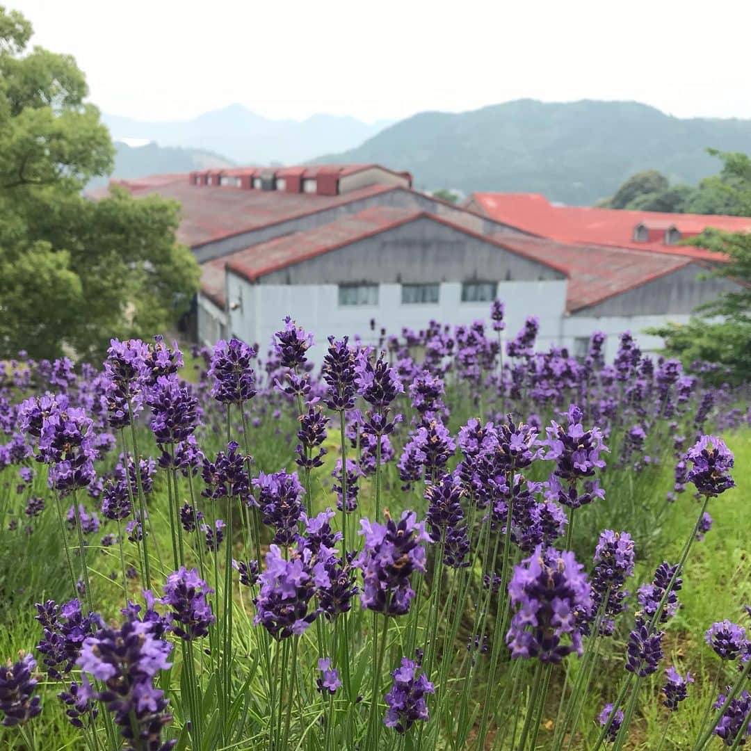 ari ta suのグルメインスタ