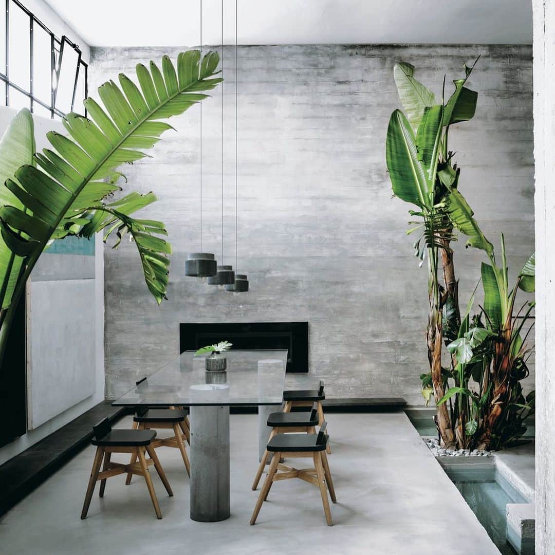 ELLE DECOR JAPANさんのインスタグラム写真 - (ELLE DECOR JAPANInstagram)「inspiring gray × green room ideas. - from the new issue “THE POWER OF PLANTS” ・ 最新号【#植物空間術】では、植物を飾るクリエーターたちの自宅と、そのスタイリングアイデアを紹介。 ミニマルなグレーを背景に、植物のフレッシュな色を楽しむこの家は、ローマ市内でギャラリーを開くクリエーターカップルの邸宅。 ・ ・ photos : ALBERTO STRADA (1,2), SHINTARO OKI(3,4). realization & styling : ROSARIA ZUCCONI(1,2), DORIANA TORRIERO(1,2), KATSUYA KUBOKAWA (3,4) ・ #elledecor #elledecorjapan #エルデコ #建築 #インテリア #デザイン #植物のある暮らし #グリーンのある暮らし #グリーンのある生活 #designlover #botanicallife #botanicalhome #botanical」6月3日 19時16分 - elledecorjapan