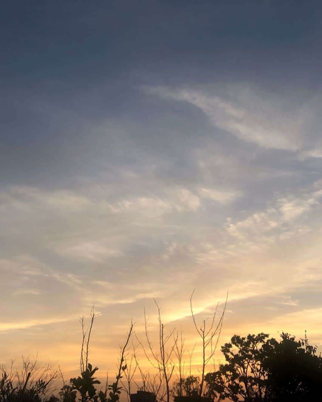 市川海老蔵 （11代目）さんのインスタグラム写真 - (市川海老蔵 （11代目）Instagram)「* 倅は地を見て 父は空を見てます  わたしには空が魅力的ですが 倅には細かく動く ダンゴムシさんが魅力的だそうです。 すごい分かる！ 笑笑。  #市川海老蔵 #海老蔵 #成田屋 #歌舞伎  #ABKAI #ABMORI #ebizoichikawa #ebizo #kabuki #thunderparty  #classic」6月3日 19時20分 - ebizoichikawa.ebizoichikawa