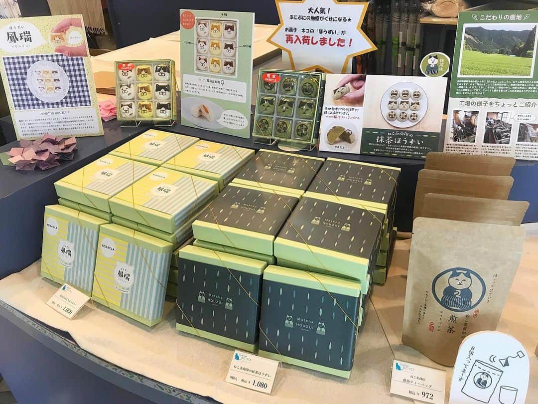ねこさんのインスタグラム写真 - (ねこInstagram)「神奈川県川崎市にある、【川崎市市民ミュージアム】で開催されている、岩合光昭さん写真展📸❣️ 1Fミュージアムショップには、我々NEKONOBA商品のお菓子とお茶が販売されています🍵🙏💓大人気とのことで再入荷したばかりです😎✨ そして、我々も先日写真展に行ってきましたー❣️📸展示されている数々のねこ写真はもちろん、1枚1枚に添えられている岩合さんのコメントにすごいニヤニヤしちゃうんだな😂🍎 可愛いねこをずーっと眺めてたら、イヤなこととかすっ飛んだくらい、とてもとても癒される時間でした😌🙏❤️ 3枚目の写真は撮影OKのフォトブースです😁❤️ど迫力の大きい写真に圧倒されちゃうよー❣️❣️ ねこ好きの皆さんにぜひぜひ行って頂きたい写真展です(*^_^*)✨ 6月30日(日)まで開催されてるよぅ💓 #neko_magazine #ねこ #猫 #ネコ #catstagram #cat #ねこマガジン #NEKONOBA #川崎 #川崎市市民ミュージアム #川崎市 #ねこづくし #岩合光昭 #鳳瑞 #ほうずい #kozacla #ねこ茶商 #和風マシュマロ #煎茶 #ほうじ茶」6月3日 19時24分 - neko_magazine