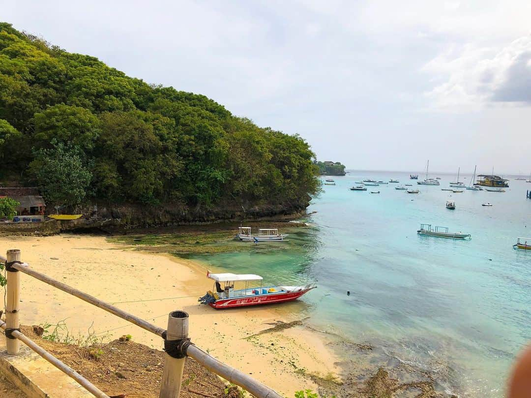 浅野宏明さんのインスタグラム写真 - (浅野宏明Instagram)「浅野 バリで ツアーガイド始めました。  このメンバーで船出すので #レンボンガン島 の マングローブの森と シュノーケルツアー（ランチ付き）で お一人様 15000000ルピーでどうですか？  って ふざけんなよ。  パーフェクトなツアーしそうじゃねーわ✋😑 #BALI #baliboy#バリ#スミニャック#lembongan #island #浅野骨抜き休暇#クタ#レギャン#チャングー#ウブド」6月3日 19時59分 - hiro_vaice