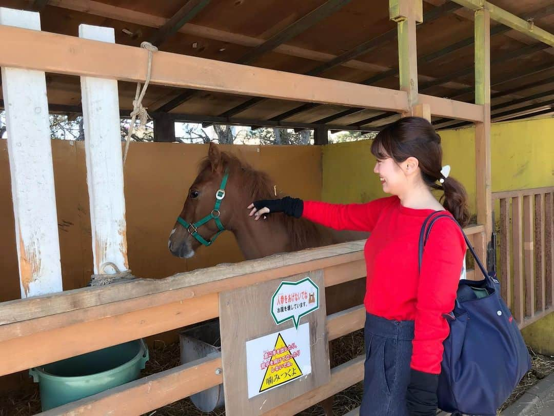 湯浅知里さんのインスタグラム写真 - (湯浅知里Instagram)「🐎✨ . . . 馬大好き❣️❣️ . . . 今日はサマー競馬NEXTのロケでした🏇✨✨ . . . いよいよ来週から 函館競馬が開幕します👍✨ . . . 今年も夏競馬を楽しむぞ〜 ！！！！ 放送見て下さいねー！！ . . . ✨🏇サマー競馬NEXT🏇✨ 6/15(土)ごご3時〜🐎✨ 毎週土曜日放送(北海道エリア)👍 . . . #サマー競馬next」6月3日 20時14分 - chisato.y515