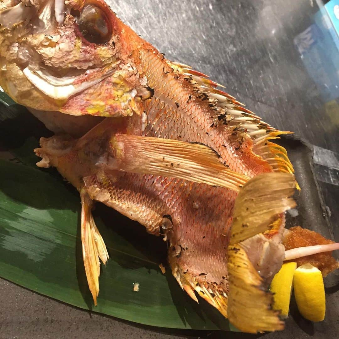 hanatsubaki029のグルメインスタ