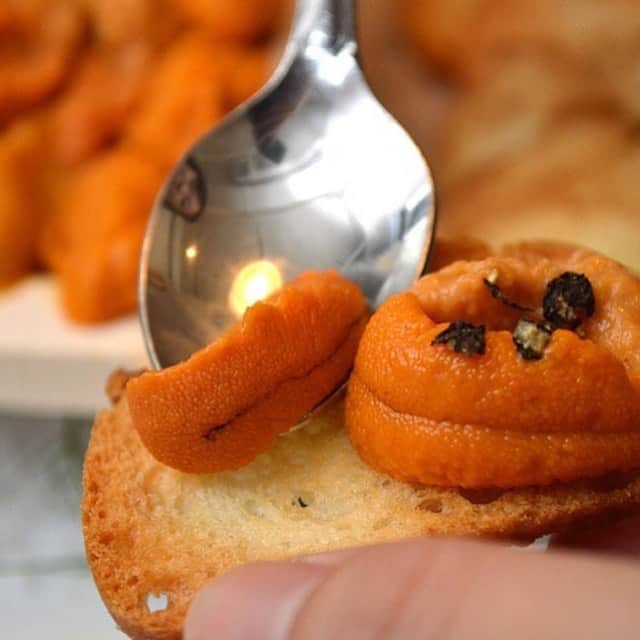 のインスタグラム：「生うにを箱で味わえる店は多々あるが、ガーリックトーストにのせて味わうスタイルは珍しい。 お皿に添えられたブラックペッパーを少しうににかけて食べると、スパイシーさがいいアクセントに。ブラックペッパーは少し潰されているので、香りが高く、うにの美味しさを一層引き立ててくれる。  #東京カレンダー #東カレ #tokyocalendar #うに #広尾 #ビストロシロ #生ウニのガーリックトースト」