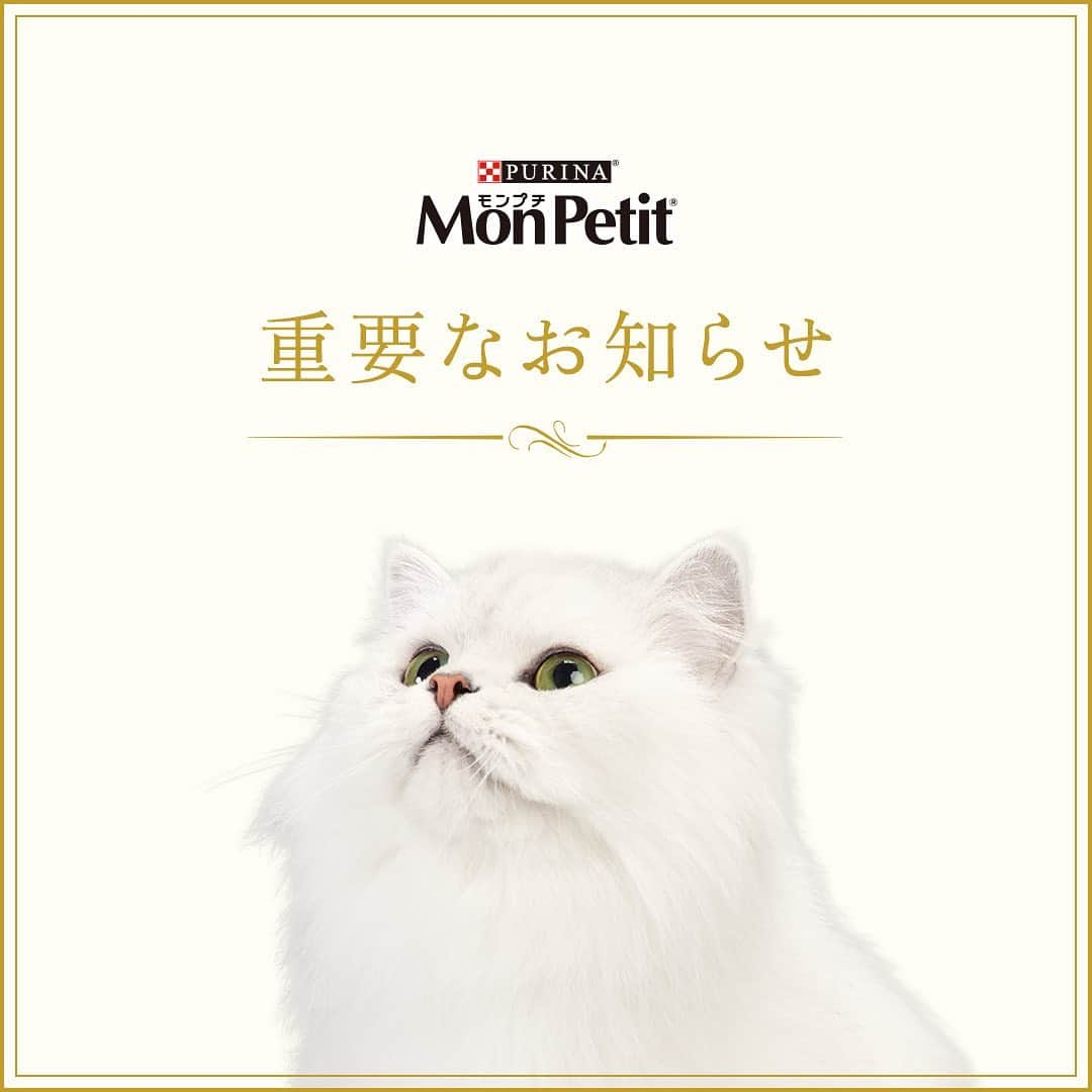 Purina Mon Petit Japanさんのインスタグラム写真 - (Purina Mon Petit JapanInstagram)「平素は「モンプチ」製品に格別のご高配を賜り、厚く御礼申し上げます。このたび、長きにわたりご愛顧いただいております「モンプチ」“必ずもらえるプレゼント”を、2020年6月末をもって終了させていただくこととなりました。  終了に伴い、ポイント登録期間やプレゼント応募期間が変更となります。 ≪応募期間≫  ポイント登録期間：2019年12月31日まで（当日消印有効）  プレゼント応募期間：2020年6月30日23:59まで  つきましては、“必ずもらえるプレゼント”の終了に伴い、応募要項を改訂しておりますので、内容をご確認いただきますよう、宜しくお願い申し上げます。  何卒、末永く「モンプチ」製品をご愛用いただきますようよろしくお願い申し上げます。  詳しくは「モンプチ」のHPから“必ずもらえるプレゼント”のページに進んでいただき、応募要項をご確認ください。  #モンプチ #必ずもらえるプレゼント #キャットフード #ねこ #ネコ #猫 #にゃんこ #にゃんすたぐらむ #ねこすたぐらむ #にゃんだふるライフ #ねこ部 #猫大好き #猫がいる生活 #猫好きな人と繋がりたい #ギフト #贈り物 #プレゼント #neko #cat #cats #instacat #catlover #catstagram #present」6月4日 6時31分 - monpetit_jp