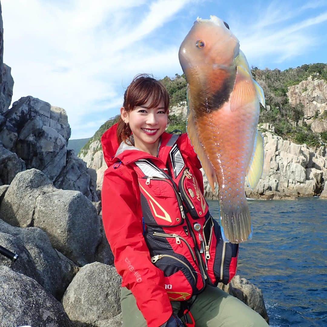 阪本智子さんのインスタグラム写真 - (阪本智子Instagram)「🐟♡ 五島列島では、 久しぶりに#イラ も釣ったよ😆‪🎣‬ 1回だけ食べたことがあるけど、 この魚は少し水っぽいので💧 塩焼きや煮付けがオススメ✍( ˙༥˙ )✨ ＊ Rod:TWIN PULSER SZⅡ 1.2号 485/520 Reel:NEW BB-X HYPER FORCE 2500DXXGS LEFT ＊ #fish #fishing #Choerodonazurio #fishinggirl #kyushu #nagasaki #isofishing #youtube #youtuber  #釣り #魚 #九州 #長崎 #五島列島 #磯釣り #フカセ釣り #海 #レッツリー #阪本智子」6月4日 7時06分 - tomoko_sakamoto423