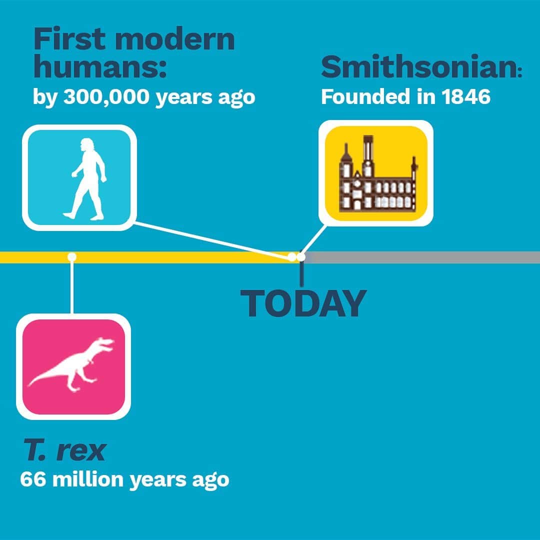 スミソニアン博物館さんのインスタグラム写真 - (スミソニアン博物館Instagram)「DYK humans are closer in time to the T. rex than T. rex is to Stegosaurus?  We're just a tiny part of #DeepTime. What is normally thought of as history is only a small fraction of Earth’s actual past. Earth’s history has played out over billions of years in what scientists call "Deep Time." @smithsoniannmnh's new #DeepTime fossil hall opens June 8. Get a sneak peek in our Instagram Story.」6月4日 7時32分 - smithsonian