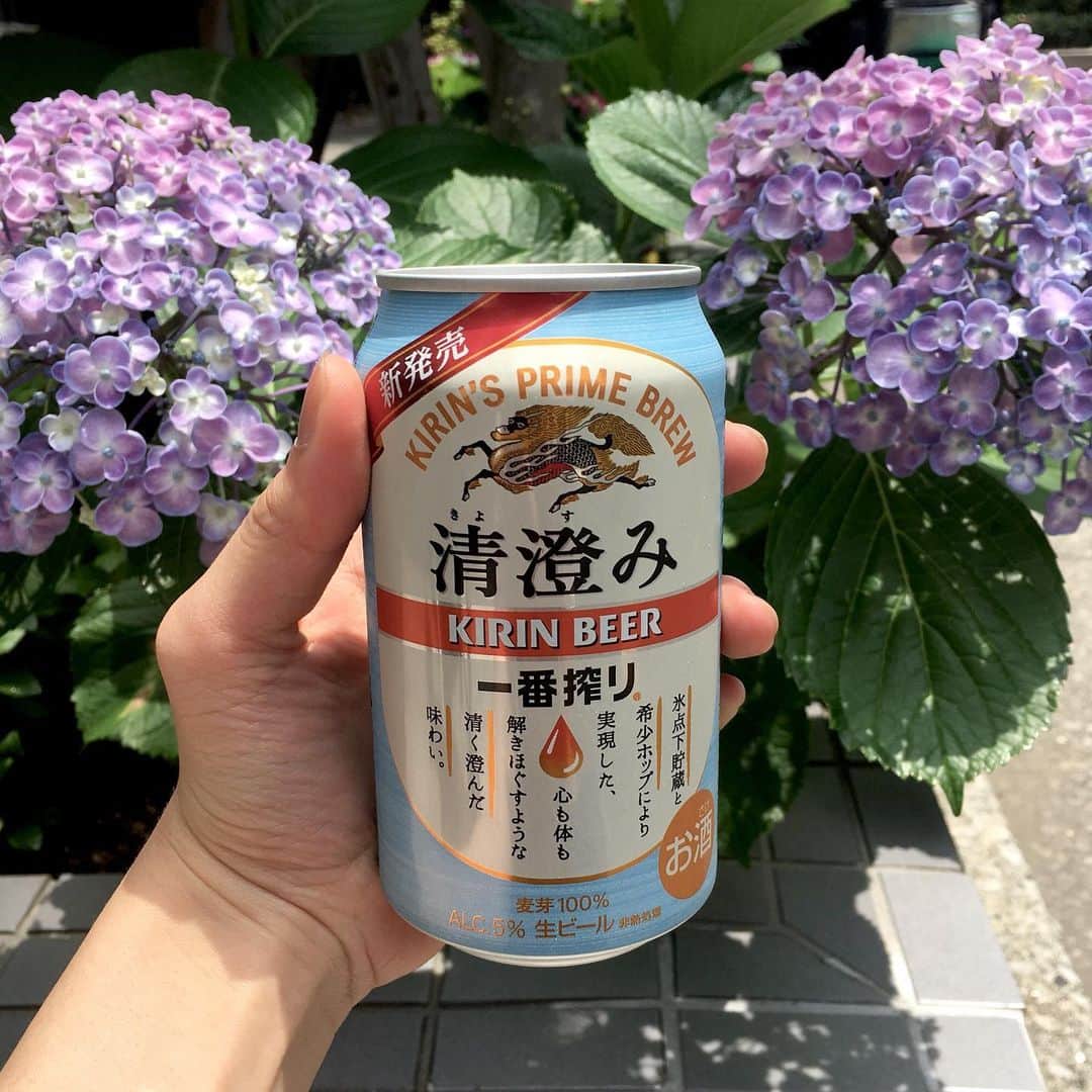 ナカヤマユキコさんのインスタグラム写真 - (ナカヤマユキコInstagram)「地元愛を出して大興奮したけど、 実はまったく無関係なビールだと知って ショボーンってなりました(´･_･`) . . でも美味しかったです🍺 キレがあって熱い日にぴったり〜🌱 . . . . . #清澄み #清澄白河 #東京づくりシリーズみたいなのだと思ったんだよ  #まったくの無関係でした #しょぼん #BEER #KIRINBEER #昼ビールは最高」6月3日 22時57分 - iam_uk