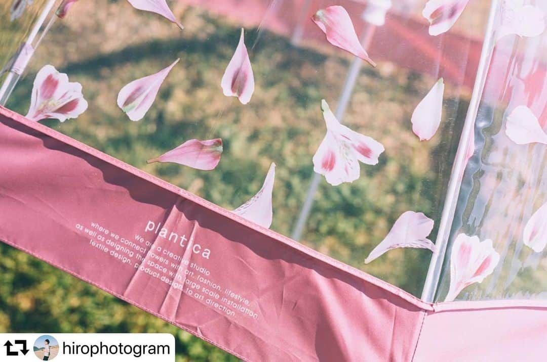 planticaさんのインスタグラム写真 - (planticaInstagram)「ステキな写真その一☂️🌸気持ちいい空気感〜ありがとうございます🙏  _ *プロフィールのハイライトの『Wpc.☂️』で傘のラインナップと販売先を紹介しています、ぜひチェック👋  Repost @hirophotogram ・・・ 今日の傘 かわいらしい一本に出会えた🍃 . . . #impression_shots #as_archive #moodygrams #artofvisuals  #huffpostgram #wpc #plantica」6月3日 23時08分 - plantica_jp