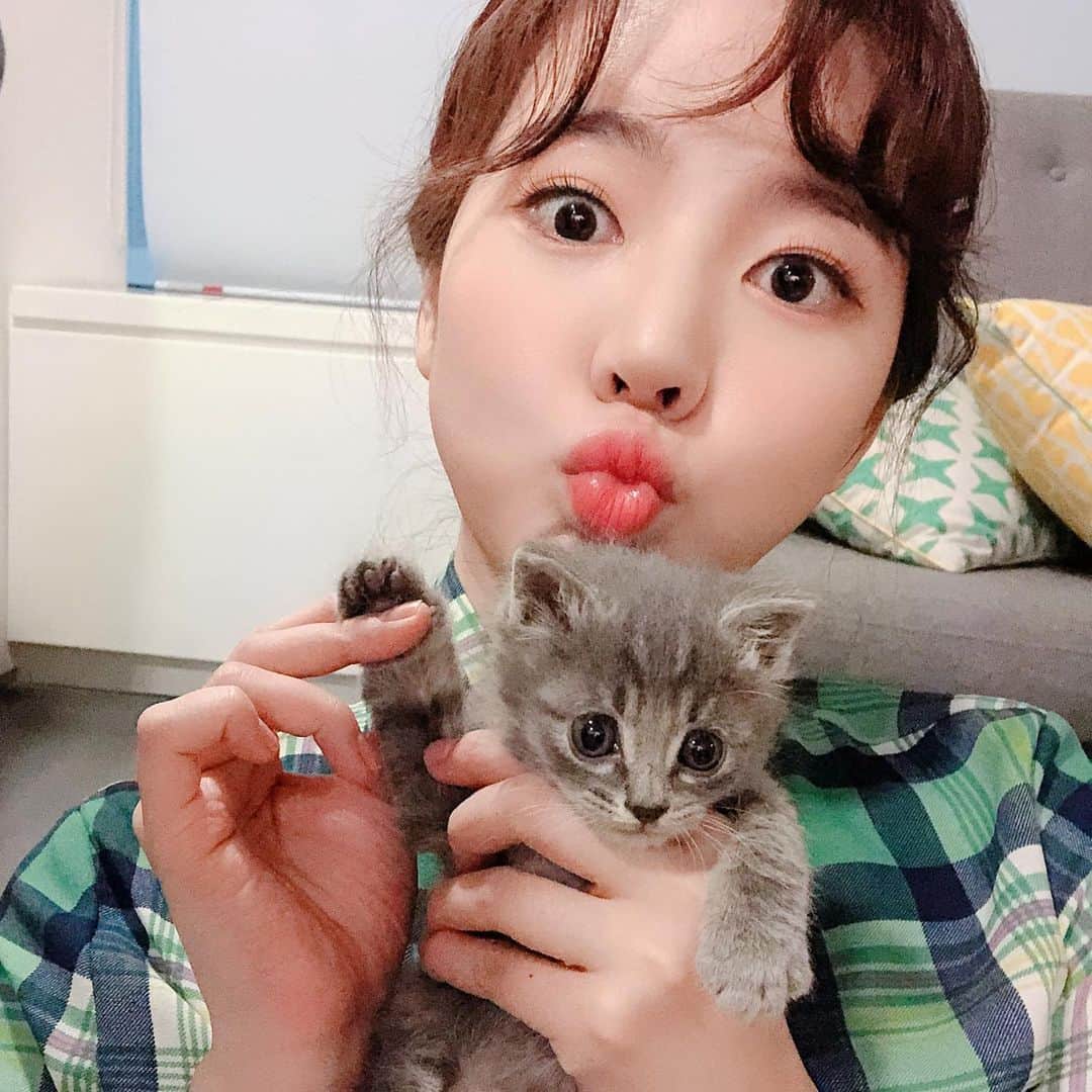 サニー のインスタグラム：「아려하째양 후츄애양 #저는아직삐약하고울어요 #고양이맞아요쥐아니예요 ........ #엄마가저를빌려귀여운척을하고있어요 #우웩 #사실저는안귀여워요 #저는상남자예요 #다물어뜯어버리겠뜨아 #왕😼」