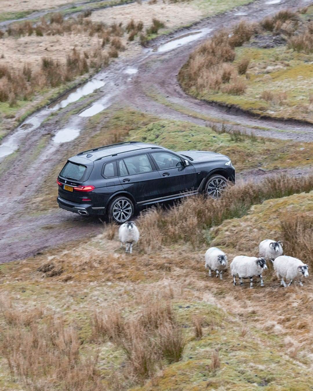 BMWのインスタグラム：「Be confident wherever the road takes you. THE X7. #THEX7 #BMW #X7 __ BMW X7 M50d: Fuel consumption in l/100 km (combined): 7.4 - 7.0. CO2 emissions in g/km (combined): 193 - 185, exhaust standard EU6d-TEMP. The values of fuel consumptions, CO2 emissions and energy consumptions shown were determined according to the European Regulation (EC) 715/2007 in the version applicable at the time of type approval. The figures refer to a vehicle with basic configuration in Germany and the range shown considers optional equipment and the different size of wheels and tires available on the selected model. The values of the vehicles are already based on the new WLTP regulation and are translated back into NEDC-equivalent values in order to ensure the comparison between the vehicles. [With respect to these vehicles, for vehicle related taxes or other duties based (at least inter alia) on CO2-emissions the CO2 values may differ to the values stated here.] The CO2 efficiency specifications are determined according to Directive 1999/94/EC and the European Regulation in its current version applicable. The values shown are based on the fuel consumption, CO2 values and energy consumptions according to the NEDC cycle for the classification. For further information about the official fuel consumption and the specific CO2 emission of new passenger cars can be taken out of the „handbook of fuel consumption, the CO2 emission and power consumption of new passenger cars“, which is available at all selling points and at https://www.dat.de/angebote/verlagsprodukte/leitfaden-kraftstoffverbrauch.html.」
