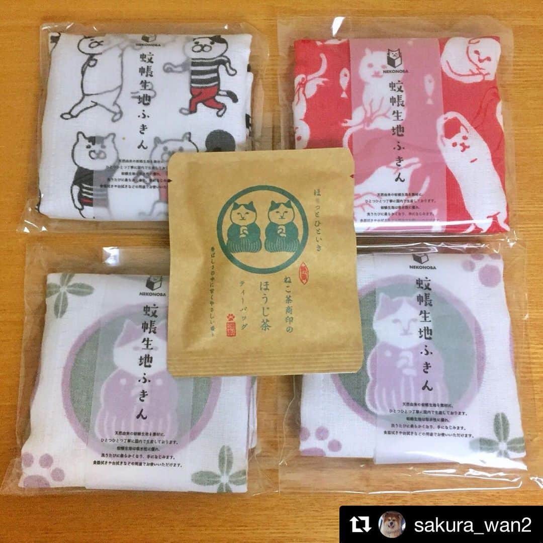 ねこさんのインスタグラム写真 - (ねこInstagram)「@sakura_wan2 さん、ステキに並べて頂き＆たくさんgetして頂き本当にありがとうございます😆❣️🤘🏻✨嬉しいなぁー♫蚊帳生地ふきん再入荷したばかりの人気ものなんです😁💫ガンガン使い込んでくださいねっ😹💪💓 #Repost @sakura_wan2 with @get_repost ・・・ 5/29 の事… 行けた❣️﻿ ﻿ 娘を付き添いさんにして行けた❣️﻿ 買えた👍﻿ 欲しかった💕欲しかった蚊帳布巾😍﻿ ﻿ 私はコレを夏場のハンカチとして使うのです🤣🤣🤣﻿ ﻿ #neko_magazine#ねこ#ねこマガジン#NEKONOBA#かやぶきん#蚊帳#布巾#ハンカチ﻿ #お出掛け#すごい久々#公園ではなく街へ#毎日公園ばかり#🤣」6月4日 0時00分 - neko_magazine