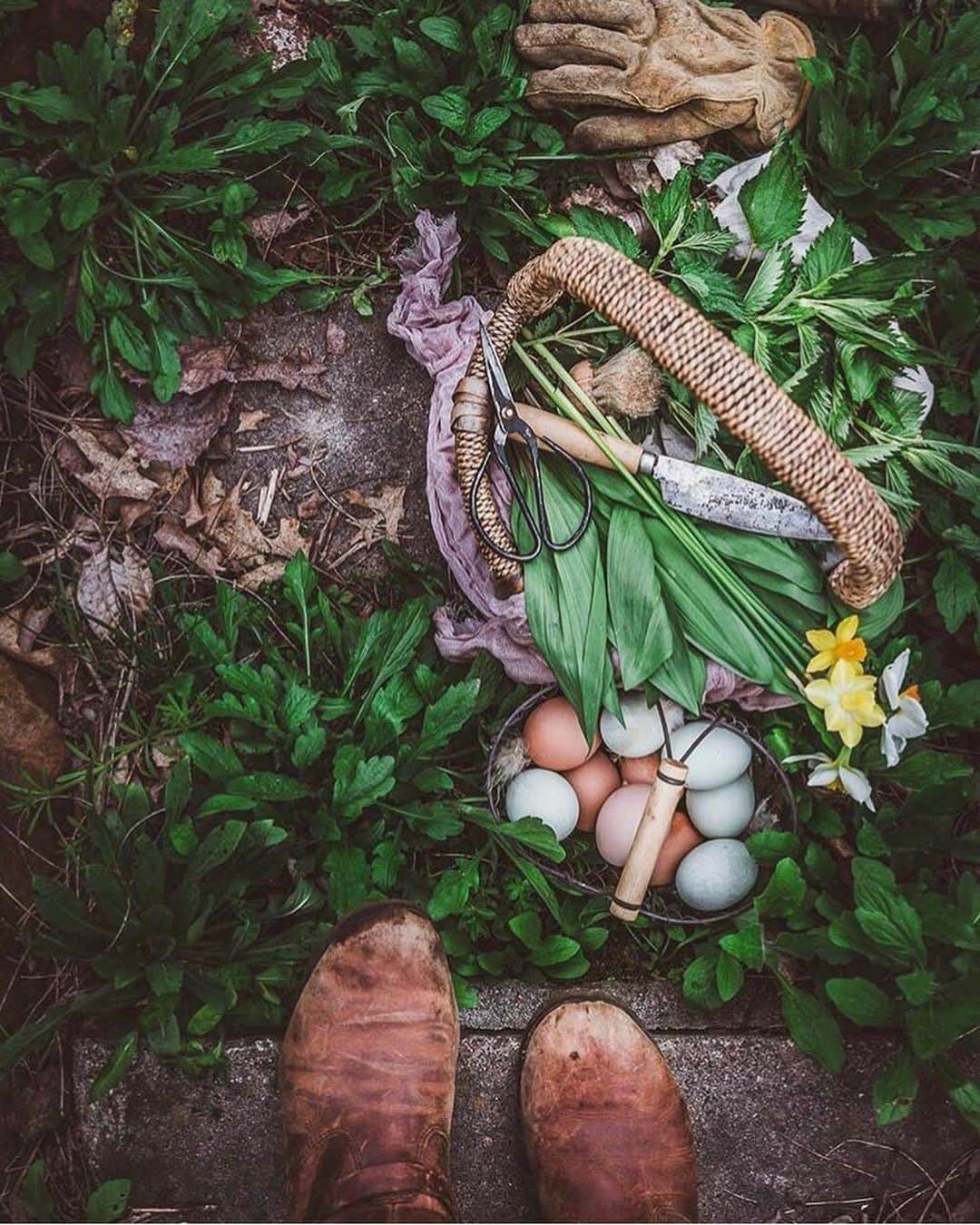 FOLKさんのインスタグラム写真 - (FOLKInstagram)「Happy Monday! What a beautiful day it is today too! Today’s favorites are 1) @kylefinndempsey 2) @kylekotajarvi 3) @chewslocal 4) @jaredetheridge」6月4日 0時42分 - folkmagazine