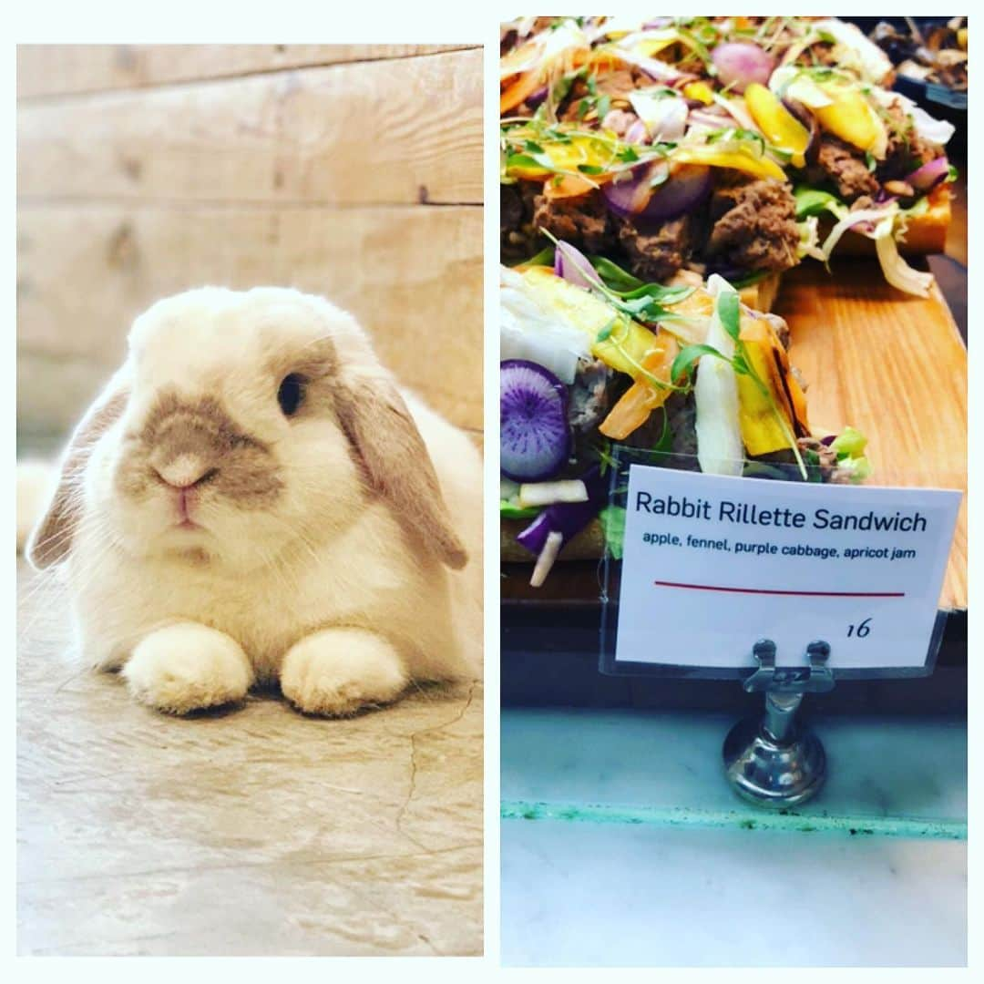 コンスタンス・マリーさんのインスタグラム写真 - (コンスタンス・マリーInstagram)「I saw this sandwich the other day,, And a woman next to me said, “Who needs to eat that? That’s Thumper!” My answer, “No one” #MeatlessMonday #LetTheRabbitsLive #OneTummyAtATime」6月4日 0時47分 - goconstance