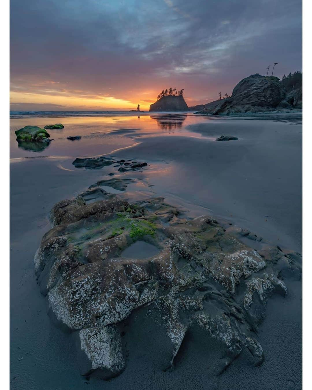 NikonUSAさんのインスタグラム写真 - (NikonUSAInstagram)「#NikonNoFilter shot by landscape and travel photographer @rawleydilleyphotography: “Hope everyone had a great weekend! We are on the road home today, but still reminiscing about these views at Second Beach. Not ready to go back to reality just yet....” Keep sharing your stunning photos with us using #NikonNoFilter for a chance to be featured! 📸: #Nikon #D850 and #NIKKOR 14-24mm lens」6月4日 1時48分 - nikonusa