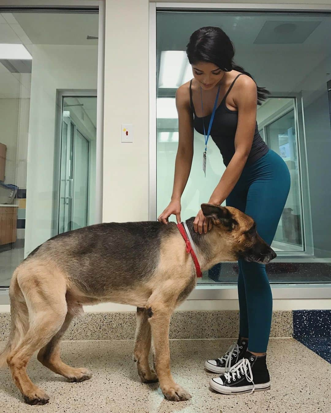 イヴァンナ・ヴェンチュラさんのインスタグラム写真 - (イヴァンナ・ヴェンチュラInstagram)「It breaks my heart when I hear the stories of senior dogs being dumped at shelters. This angel for example has arthritis in his back and after being someone’s companion for 10yrs+ he was dumped at a shelter. Stories like these are so common at shelters. 😔Know that when you get a pet it’s for LIFE, they shouldn’t be treated like a material thing you can just get rid of when you can’t handle anymore. They give their life and all their love to us, they deserve better from us ❤️ @urgentdogsofmiami @adoptmiamipets」6月4日 2時14分 - yoventura