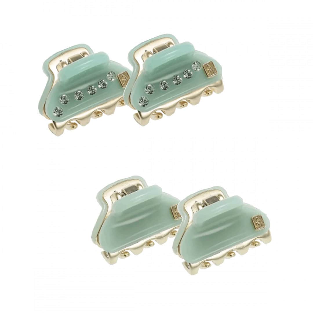 のインスタグラム：「💚 Que charme 💚 Pinces Vendôme em várias cores e tamanhos. Para comprar, acesse nosso e-commerce! 😍  #alexandredeparis #beauty #creativedesign #getthelook #hairstyle #originaldesign」
