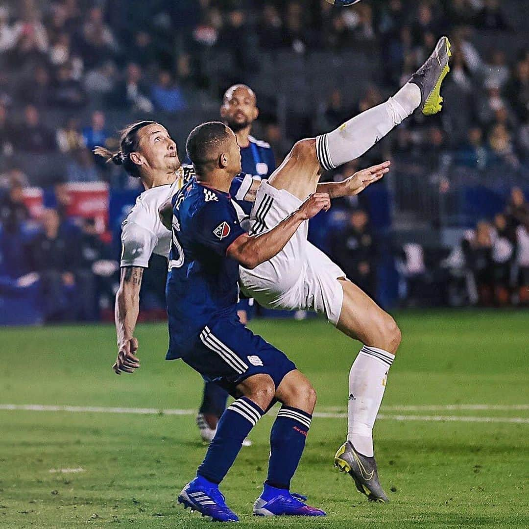 ズラタン・イブラヒモビッチさんのインスタグラム写真 - (ズラタン・イブラヒモビッチInstagram)「Just another bicycle day @lagalaxy」6月4日 4時16分 - iamzlatanibrahimovic