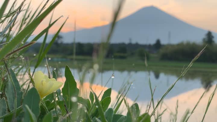 phantastic420のインスタグラム：「. 🤩🤩“Shizuoka” prefecture in Japan is a place where you can see the most “phantastic” Mt. Fuji🗻 in the world.🤩 #富士山 #mtfuji #japan #shizuoka #fujinomiya  #phantastic420photography #mostphantasticmtfuji #selamatpagi  #goodmorning  #おはようございます 😇😇😇😇😇😇😇🗻😇😇」
