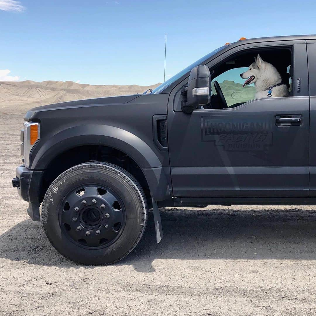 ケン・ブロックさんのインスタグラム写真 - (ケン・ブロックInstagram)「99% certain that my dog isn’t actually legally allowed to drive my @Ford F-450. And yet, he seems to think otherwise? #givethatbackyouareadog #BentleyChickenFingersBlock」6月4日 5時05分 - kblock43