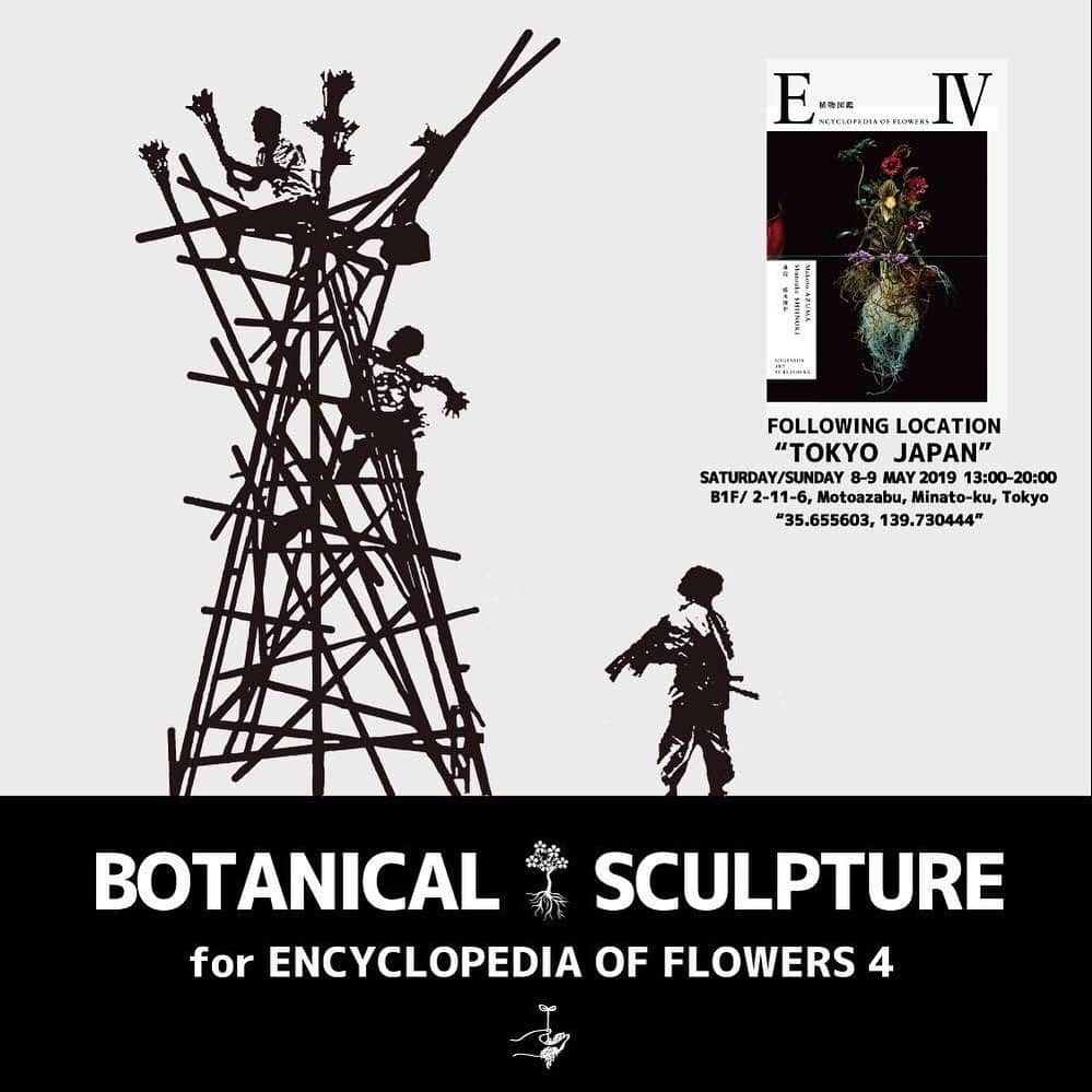 東信さんのインスタグラム写真 - (東信Instagram)「Botanical Sculpture for Encyclopedia of Flowers 4  We are delighted to announce our 2 days exhibition, which celebrating the launch of our new book “Encyclopedia of Flowers 4”. Date : ‪June 8-9‬ (Sat/Sun), 2019 Place : B1F/ 2-11-6, Motoazabu, Minato-ku, Tokyo Time : ‪13:00-20:00pm‬ * You can buy the book there.  このたび、AMKKでは『Encyclopedia of Flowers 4』の発売を記念して 2日間限定の特別エキシビジョン “Botanical Sculpture” を開催致します。 シリーズの創作開始から10年の時を経てもなお、花の美を追求し続けて辿り着いたシリーズ第4弾。書籍の中に写る生の植物の息づかいを是非間近でご覧ください。 ※ 展示と合わせて書籍の販売も致します。  #tokyo#photography#flowers#botanicalart#botanicalphotography#makotoazuma#azumamakoto #東信花樹研究所 #amkk #amkkproject #flowers #flowerart #花 #shiinokishunsuke #encyclopediaofflowers#東信#椎木俊介#植物図鑑」6月4日 6時16分 - azumamakoto