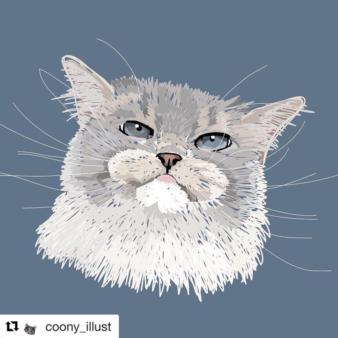 しるこさんのインスタグラム写真 - (しるこInstagram)「2019.6.4 見て見て〜😻❤️ @coony_illust さんにこんなステキなイラストを描いていただきました❤️ 昨日生ライブで描いて貰って大興奮😆 出来上がり楽しみにしてました！ そっくりですよね👀✨ 他にも素敵なイラストがいっぱいあるのでぜひ @coony_illust さんのインスタもご覧になってくださいね☺️ . #ラグドールしるこ . #Repost @coony_illust with @get_repost ・・・ @shirukotan さんの🐱しるこちゃん😸 . 昨夜初めてインスタライブにて描きました！ みていただいたみなさん、 ありがとうございました😭💞 . 電池切れちゃったので完成まで お見せできなかったのですが こんな具合に仕上がりましたよ☺️ . しるこちゃんはなんといっても ぷっっっっくぷくのマズルが特徴🐱 飼い主さん曰くどんぐりが入っているとかいないとか😂 . こんな顔で見つめられたら会社いけないな😂😂😂 . #cat#catlover #catsofinstagram #catstagram #cats_of_instagram #cats_of_world #catillustration #petillustration #illustration #しるこ#おしるこ#猫#猫イラスト#ペットイラスト#にゃんすたぐらむ #フェリシモ猫部 #シマホのネコダスケステーション #マズル#マズル力#マズルフェチ #muzzle #catmuzzle#猫とインテリア#猫好きさんと繋がりたい #猫のいる生活 #猫部#ragdoll #ラグドール」6月4日 15時53分 - shirukotan