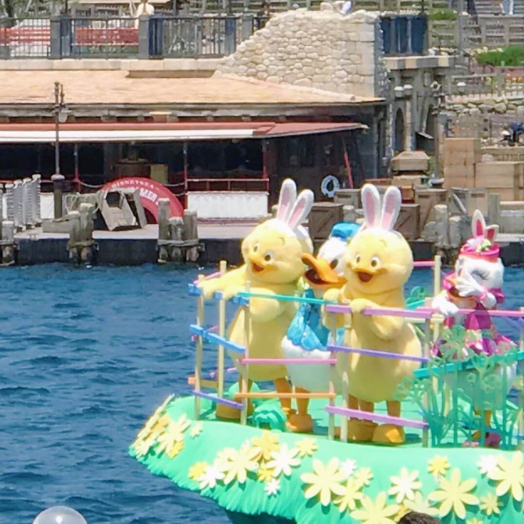 なかやまちえこさんのインスタグラム写真 - (なかやまちえこInstagram)「#うさピヨ #tokyodisneysea #disneyeaster」6月4日 15時58分 - chiekonakayama