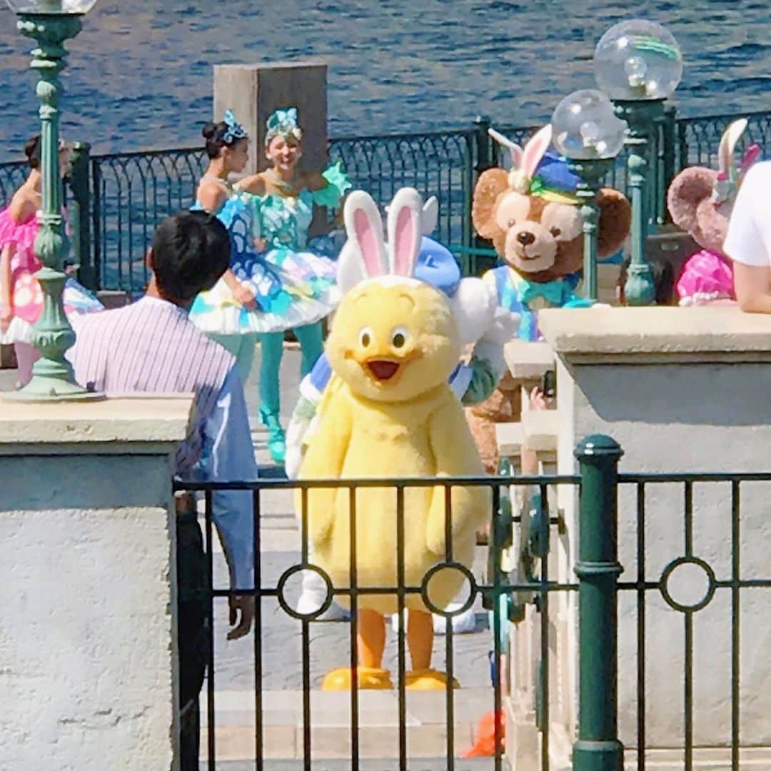 なかやまちえこさんのインスタグラム写真 - (なかやまちえこInstagram)「#うさピヨ #tokyodisneysea #disneyeaster」6月4日 15時58分 - chiekonakayama