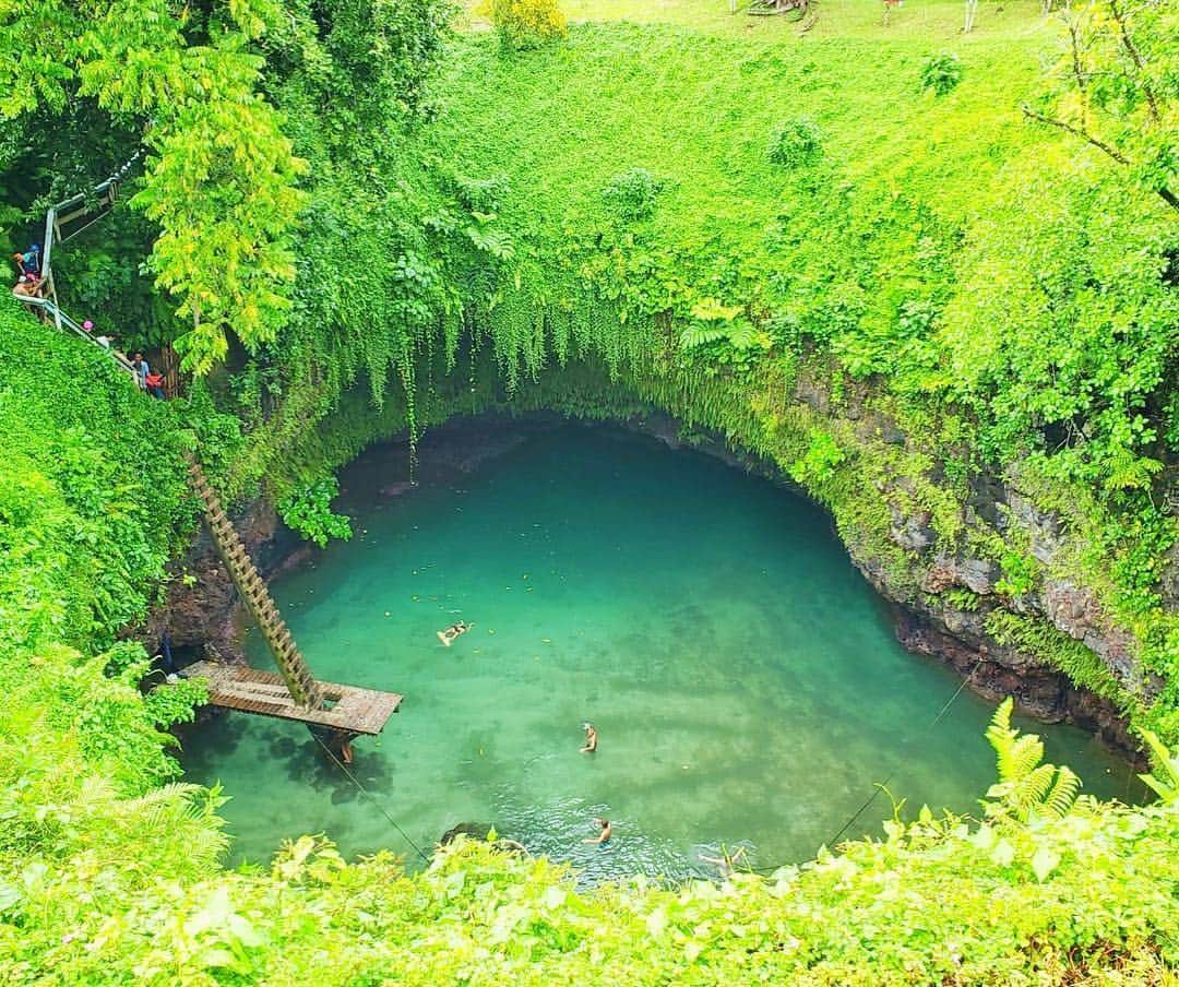 Travel.jp / トラベルjpさんのインスタグラム写真 - (Travel.jp / トラベルjpInstagram)「✈ターコイズ色の天然プール﻿ .﻿ サモアは日本から約1日かかるオセアニアの島国です。﻿ 中でも1番人気なスポット「トゥー・スア・オーシャン・トレンチ」は大自然が作り出した巨大な天然プール！﻿ 深さ約30mのプールに飛び込めば、自然と一体になったかのような不思議な感覚を味わえるはず😆﻿ .﻿ 詳しい情報は【LINEトラベルjp サモア プール】で検索❤️﻿ .﻿ @mami9949 さま 素敵なお写真のご提供ありがとうございました。﻿ その他にも綺麗な旅行先での写真がたくさん更新されているのでチェックしてみてください！﻿ .﻿ 🎁6/3〜キャンペーン実施中🎁﻿ 星野リゾートの宿泊券が当たるかも!?﻿ 詳しくはプロフィールの下のハイライト「キャンペーン」をチェック🍀 #キャンペーン 実施中﻿ .﻿ 『時短で叶う✨あなただけの旅』﻿ ✔️時間がない﻿ ✔️旅がマンネリ化している﻿ ✔️優柔不断﻿ ✔️最高の旅にしたい﻿ ✔️たくさんの旅行ガイドが見たい﻿ ﻿ そんなあなたには「LINEトラベルjp」💁‍♀﻿ 500名のライターが書いた3万件の旅行ガイドがあなたの旅を手助けします。 ﻿ ﻿ ＼⏰#時短トラベル 募集中⏰／﻿ 時短で実現した旅物語を募集しています。﻿ あなたがおすすめしたいステキな旅の思い出や写真をハッシュタグと一緒に投稿してください！﻿ リポストにてご紹介させていただきます。﻿ ﻿ あなたの新しい旅がここから始まる✈️🌈﻿ くわしくは @travel.jp をチェック！﻿ .﻿ #旅行 #旅行好き #旅行好きな人と繋がりたい #トラベラー #女子旅 #女子旅行 #国内旅行 #海外旅行 #インスタ映え #トラベル #トリップ #絶景 #カメラ女子 #カメラ男子 #ダレカニミセタイケシキ #LINEトラベルjp #時短トラベル #サモア #オセアニア #プール #自然 #ターコイズ #プール遊び #ジャングル #海外旅行好き #海外旅行好きな人と繋がりたい #大自然」6月4日 16時03分 - travel.jp
