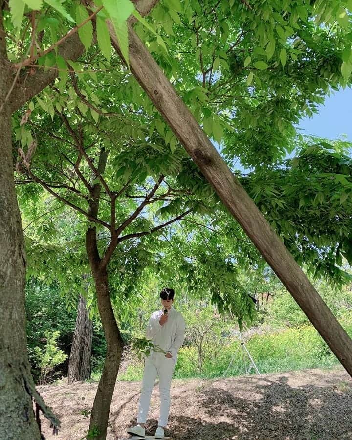 2PMさんのインスタグラム写真 - (2PMInstagram)「제가 숲에서 요정을 본 것 같아요... - #숲속나라 #초록정령 #🧚‍♂️ #레투스타그램」6月4日 16時11分 - real_2pmstagram