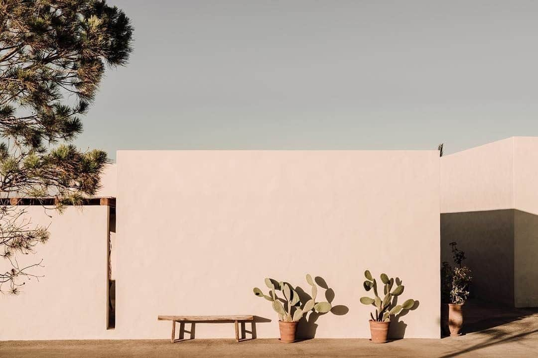 The Horseさんのインスタグラム写真 - (The HorseInstagram)「Our Favourite colour combo Pink and Olive ♥︎ Are you a fan?⠀⠀⠀⠀⠀⠀⠀⠀⠀ via @casacookhotels⠀⠀⠀⠀⠀⠀⠀⠀⠀ .⠀⠀⠀⠀⠀⠀⠀⠀⠀ #shadesandlines #casacook #summervibes #simpleluxury #plantsarefriends #pink #cactus」6月4日 16時20分 - the_horse