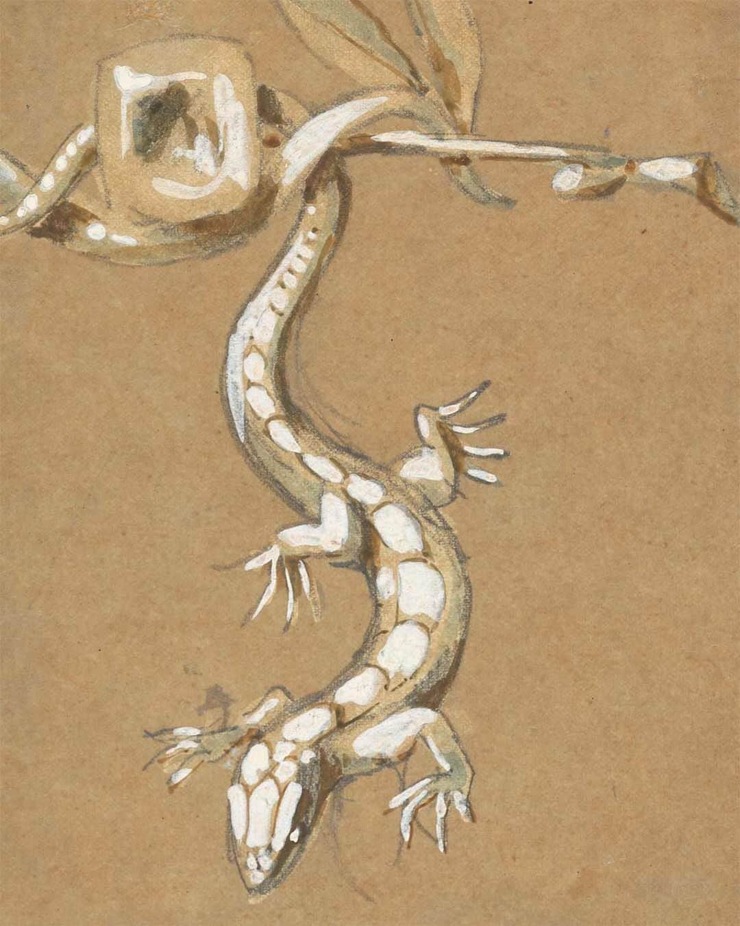 Chaumetさんのインスタグラム写真 - (ChaumetInstagram)「Nature’s inspirations are drawn beyond the plant species. This drawing of a gecko is a design for the stomacher of Princess Katharina Henckel von Donnsermarck, by Joseph Chaumet, dating back to 1889. #Chaumet #ChaumetTreasures」6月4日 16時22分 - chaumetofficial