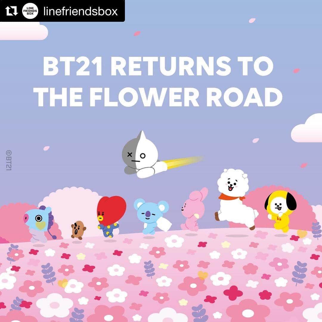 のインスタグラム：「#Repost @linefriendsbox with @get_repost ・・・ Everyone! The UNIVERSTAR has something to say! ✨📣⠀ NOW ON SALE! Be sure to get yours before they're all gone!⠀ ⠀ 🔗linefriendsbox.com⠀ ⠀ #BT21 #KOYA #RJ #SHOOKY #MANG #CHIMMY #TATA #COOKY #VAN #BT21 #CHARACTERSET⠀」
