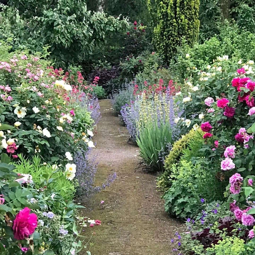 ドリス・ヴァン・ノッテンさんのインスタグラム写真 - (ドリス・ヴァン・ノッテンInstagram)「A walk in the garden The rose garden exploded after a tropical weekend #rosegarden #roses #peonies」6月4日 17時10分 - driesvannoten