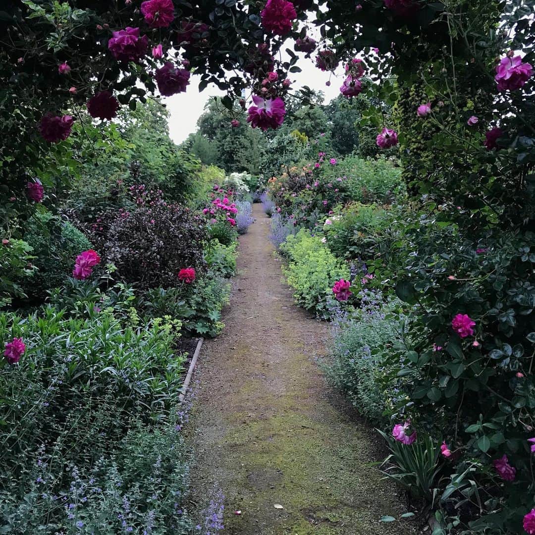 ドリス・ヴァン・ノッテンさんのインスタグラム写真 - (ドリス・ヴァン・ノッテンInstagram)「A walk in the garden The rose garden exploded after a tropical weekend #rosegarden #roses #peonies」6月4日 17時10分 - driesvannoten