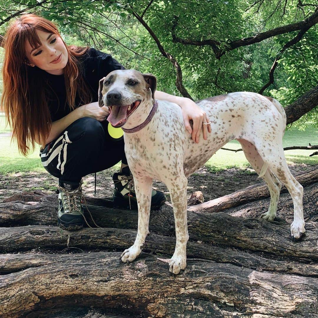 ジェーン・アルドリッジのインスタグラム：「We are proud new parents ❤️ This is Greta, the newest addition to our family. She is a big snuggly sweetheart, and  has us totally smitten. Thank you @canerossorescue for our newest family member! It is such a gift when you find a special dog to share your life with. As you may know, we lost our beloved German shorthair pointer Stella five weeks ago and we are still missing her so much. Being able to open our home to a dog who needed a new family has been very healing ❤️ welcome home Greta!」