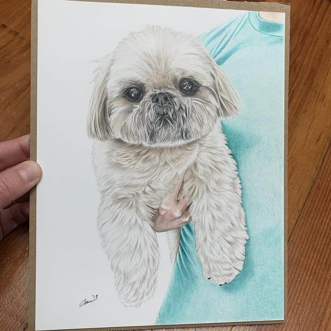 Dougie the Shih Tzuさんのインスタグラム写真 - (Dougie the Shih TzuInstagram)「It’s the big guy’s birthday so we thought we would surprise Dougie’s favorite person with a portrait by the amazing @carlas_artwork.  Swipe to see the original photo. #bigguy #happybirthday #greenshirt💚」6月4日 8時28分 - dailydougie