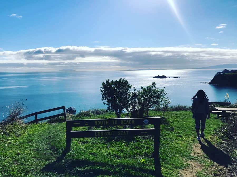 原田佳奈さんのインスタグラム写真 - (原田佳奈Instagram)「・ ・  メルボルンからニュージーランドのワイヘキ島へ。  ここ数年でだいぶお店や人が増えたとは言え、まだまだありのままの自然が残っているワイヘキ島。  ちょうど晴れて、美しいビーチが歓迎してくれました。  #ワイヘキ島 #waihekeisland #ニュージーランド #newzealand  #greatnature  #beautifulbeach #ペットのダックちゃん2匹 #いろんな色のたまご可愛い」6月4日 8時35分 - kanaharada1211