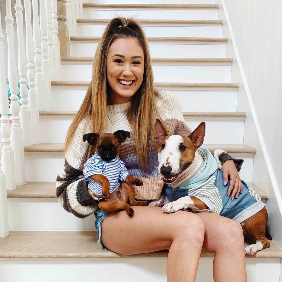 Lauren Riihimakiさんのインスタグラム写真 - (Lauren RiihimakiInstagram)「I’m starting a new side hustle as a personal dog stylist and I’m officially taking new clients, who’s next?? both @sadbobbie & @moosetheminibully have left raving reviews ✨」6月4日 9時06分 - laurdiy