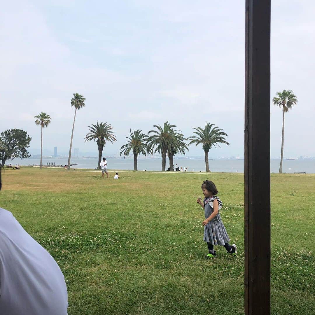 依布サラサさんのインスタグラム写真 - (依布サラサInstagram)「週末のルイガンズ、楽しかった❣️ 子供を思いっきり走らせて遊ばせられるっていいですよねー😊❣️ その場で仲良くなった女の子にたくさん遊んでもらいました🙆‍♀️ #海の中道 #ルイガンズ #dreamdusk #lunch #サラミニ #3歳 #サイズ感は5歳 #おなかにスイカでも入ってるのだろうか🍉🧐」6月4日 9時31分 - sarasaifu