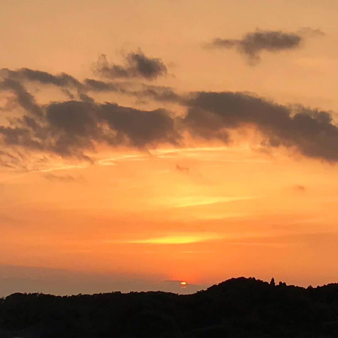 ココハウスのグルメインスタ