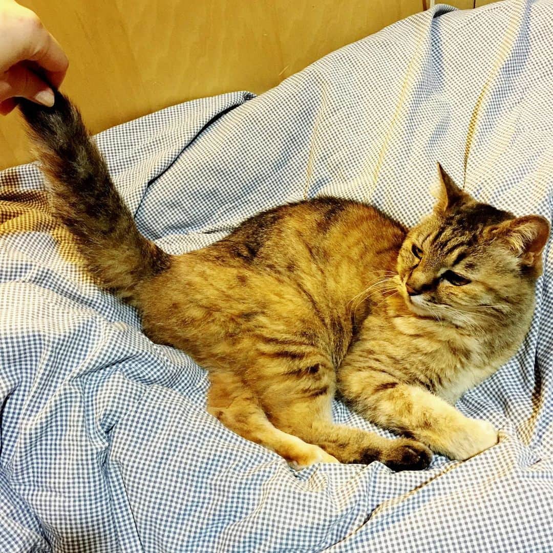おおたうにのインスタグラム