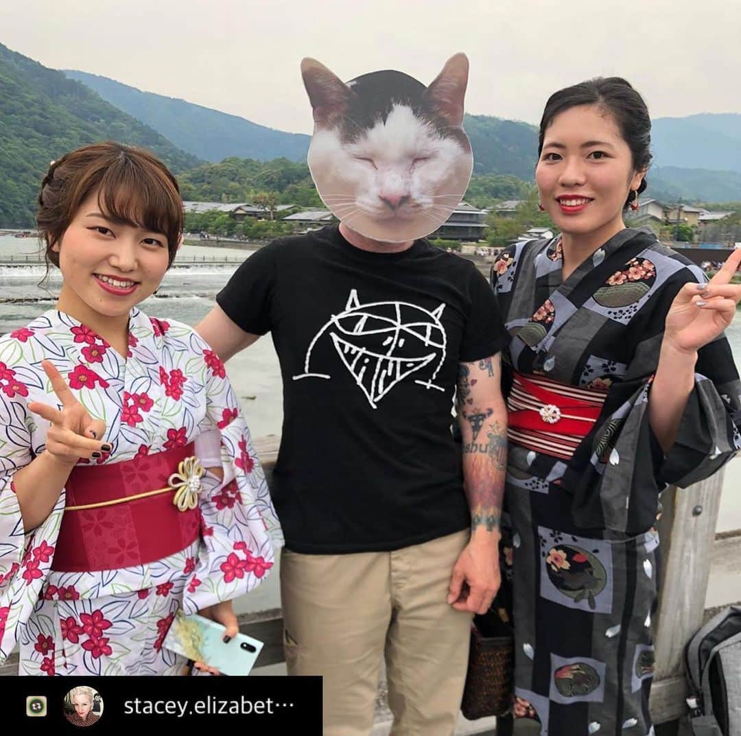 Kachimo Yoshimatsuさんのインスタグラム写真 - (Kachimo YoshimatsuInstagram)「アメリカから日本に観光中のヨウカンさん、京都満喫中。 #旅するヨウカンさん  #Repost with @Repostlyapp @stacey.elizabeth.1971 ❤️Yohkan-san sure is having a great time on his vacation in Japan ❤️👍🏼🐱#iloveyohkansan #yohkansaninjapan #yohkansanonvacation #catsofinstagram #japanesevacation」6月4日 9時42分 - kachimo