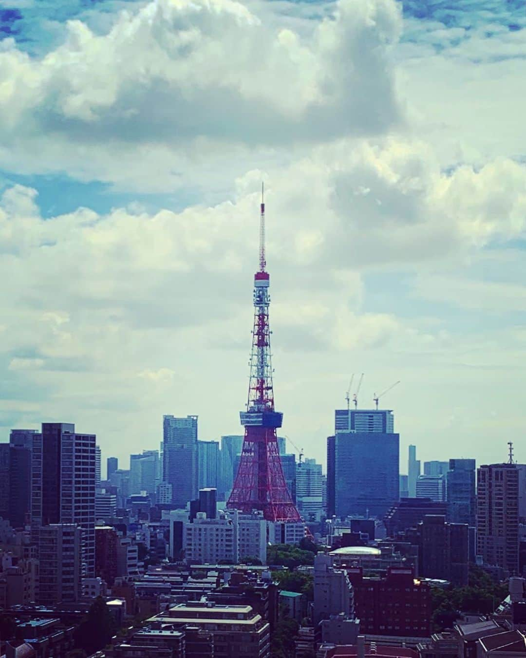 谷川じゅんじさんのインスタグラム写真 - (谷川じゅんじInstagram)「Good morning tokyo tower 🗼  いつ見ても伸びてる。凛々しい背筋、見習います #tokyotower #tokyostyle #tokyolife #goodvibesonly #goodneighbors #thisistokyo #thisisjapan」6月4日 9時54分 - junjitanigawa