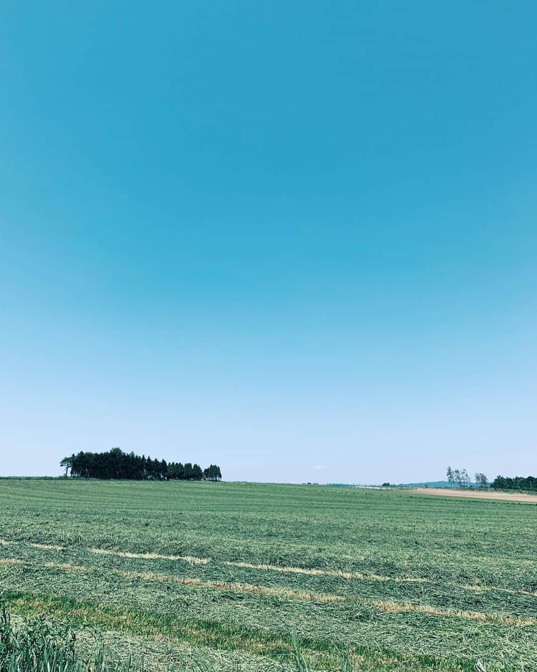 村上萌さんのインスタグラム写真 - (村上萌Instagram)「札幌出張とか嬉しすぎる。﻿しかも大好きなこの季節。﻿バタバタしてるタイミングだけど、行くからには前後含めて徹底的に楽しむと決意。﻿ ﻿ 昨日はトークショーが夕方集合だったので、同行の若人連れて早めに北海道入りして、空港でレンタカーして、今が旬の安平町の菜の花見て、回転寿司と菊水の好きなカフェのコーヒーテイクアウトして、トークショーと楽しい打ち上げの後は締めパフェで終了という、宝箱みたいな1日だった。﻿﻿ ﻿﻿ 札幌に住んでた5年間で、何人もの知り合いが色んな季節に来てくれたから、どの季節の案内コースもマスターしてた技が、ついに自分に活用できた😋﻿﻿ ﻿﻿ 肝心のトークショーは、去年から付き合わせてもらってる、北海道上川町の地域おこし協力隊募集に向けたイベントで、自分なりのミッションを持って移住をすることについて諸先輩方と話させてもらいました🙌🏻﻿お仕事終わりに来てくださった方々、ありがとうございました！﻿ ﻿ ◻︎安平町の菜の花﻿ ◻︎回転寿司 根室花まる﻿ ◻︎菊水のカフェ Plantation﻿ ◻︎大通り BARISTART COFFEE(写真はこっち) ◻︎夜パフェ専門店パフェテリア ミル﻿ ﻿  #娘お留守番出張は2回目 #discoverhokkaido」6月4日 10時32分 - moemurakami_