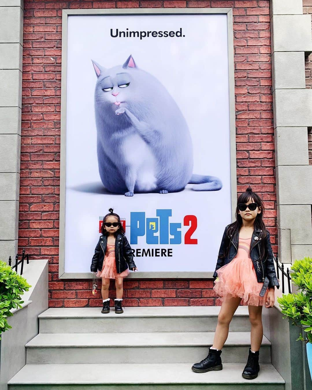 Zooey Miyoshiさんのインスタグラム写真 - (Zooey MiyoshiInstagram)「Yesterday’s @secretlifeofpets 2 red carpet attire courtesy of @plumnyc 👗 Brought Amelie along too but taking photos together was a challenge. Did you see how territorial she was in our stories ? Swipe ➡️ to see the best photos we got 😂 Anyway this movie was so cute and hilarious you have take the family to see it this weekend! 🐶🐱🐯#thesecretlifeofpets2 #zooeyxamelie」6月4日 10時53分 - zooeyinthecity