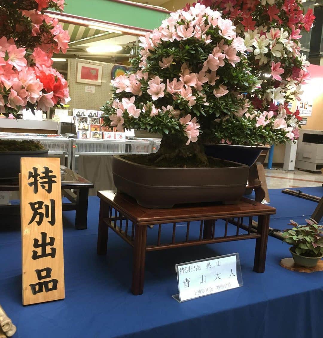 青山大人のグルメインスタ