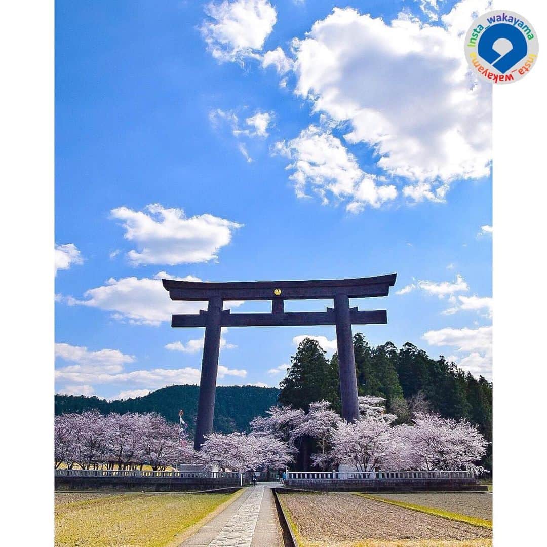 和歌山県さんのインスタグラム写真 - (和歌山県Instagram)「Insta_Wakayamaでは、皆さんがハッシュタグをつけて投稿してくださった写真から、素敵な写真をご紹介させていただきます！ 本日は、和歌山県観光連盟とのコラボ企画「 #グッドトリップ和歌山 」投稿キャンペーンの月間優秀賞（２０１９年４月）作品をご紹介いたします。  まず１枚目は @sakodai さんが投稿されました、田辺市の潮見峠越にある捻木ノ杉（ねじきのすぎ）のお写真です。 ２枚目は @m.sky.k.m.y さんが投稿されました、岩出市にある根来寺の大門のお写真です。 ３枚目は @dd_sou さんが投稿されました、和歌山市にある深山砲台跡のお写真です。 ４枚目は @satoshi_1123 さんが投稿されました、田辺市本宮町にある熊野本宮大社旧社地「大斎原」のお写真です。 ５、６枚目は @kazuk338 さんが投稿されました、白浜町市鹿野の茶畑のお写真です。 いずれの写真も、一枚で和歌山の魅力を余すところなく伝える、素晴らしい写真だと思います(^^) @insta_wakayama では、引き続き #グッドトリップ和歌山 投稿キャンペーンを開催中です！ 和歌山県の素敵なお写真を投稿していただいた方々の中から、毎月5名様に1万円をプレゼント🎁します！ 🎉詳しくは @insta_wakayama のプロフィールにあるURLをチェックしてください。 また和歌山に関する投稿にはぜひ「 #insta_wakayama 」ハッシュタグをつけてください★ 和歌山の魅力を皆さんで発信していきましょう！ ハッシュタグをつけるとともに、写真の場所の記載や位置情報の登録をしていただければ幸いです🎵  #和歌山県 #観光和歌山 #風景 #風景和歌山 #なんて素敵な和歌山なんでしょう #wakayama #insta_wakayama #wakayamagram #instameet_wakayama  #nagomi_wakayama #visitwakayama」6月4日 11時24分 - insta_wakayama